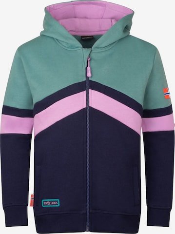 TROLLKIDS Sweatshirt in Purple: front