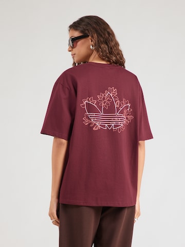 ADIDAS ORIGINALS Tričko - Hnedá: predná strana