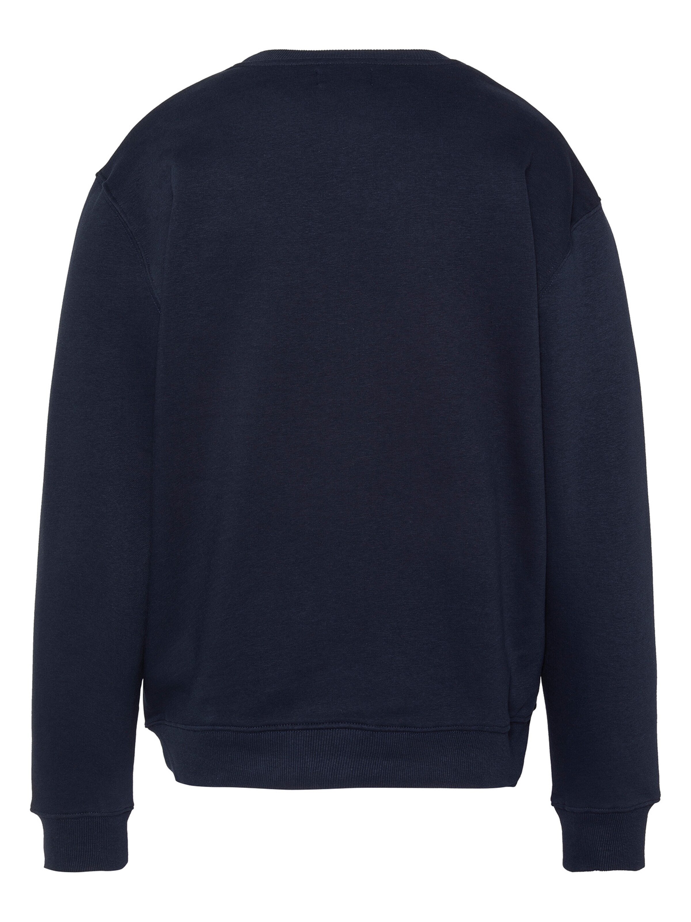 Schott NYC Sweatshirt in Blue