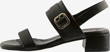 Sandales à lanières 'JESSIE' Högl en noir : devant