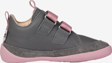 Affenzahn Sneakers 'Buddy Koala' in Grey