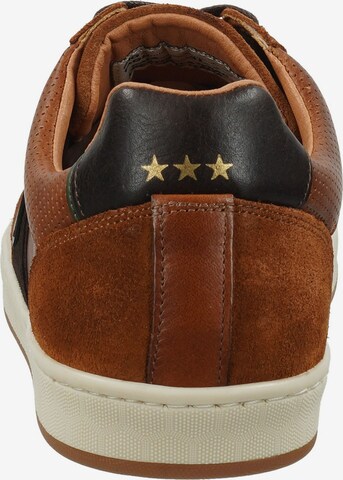 PANTOFOLA D'ORO Sneaker in Braun