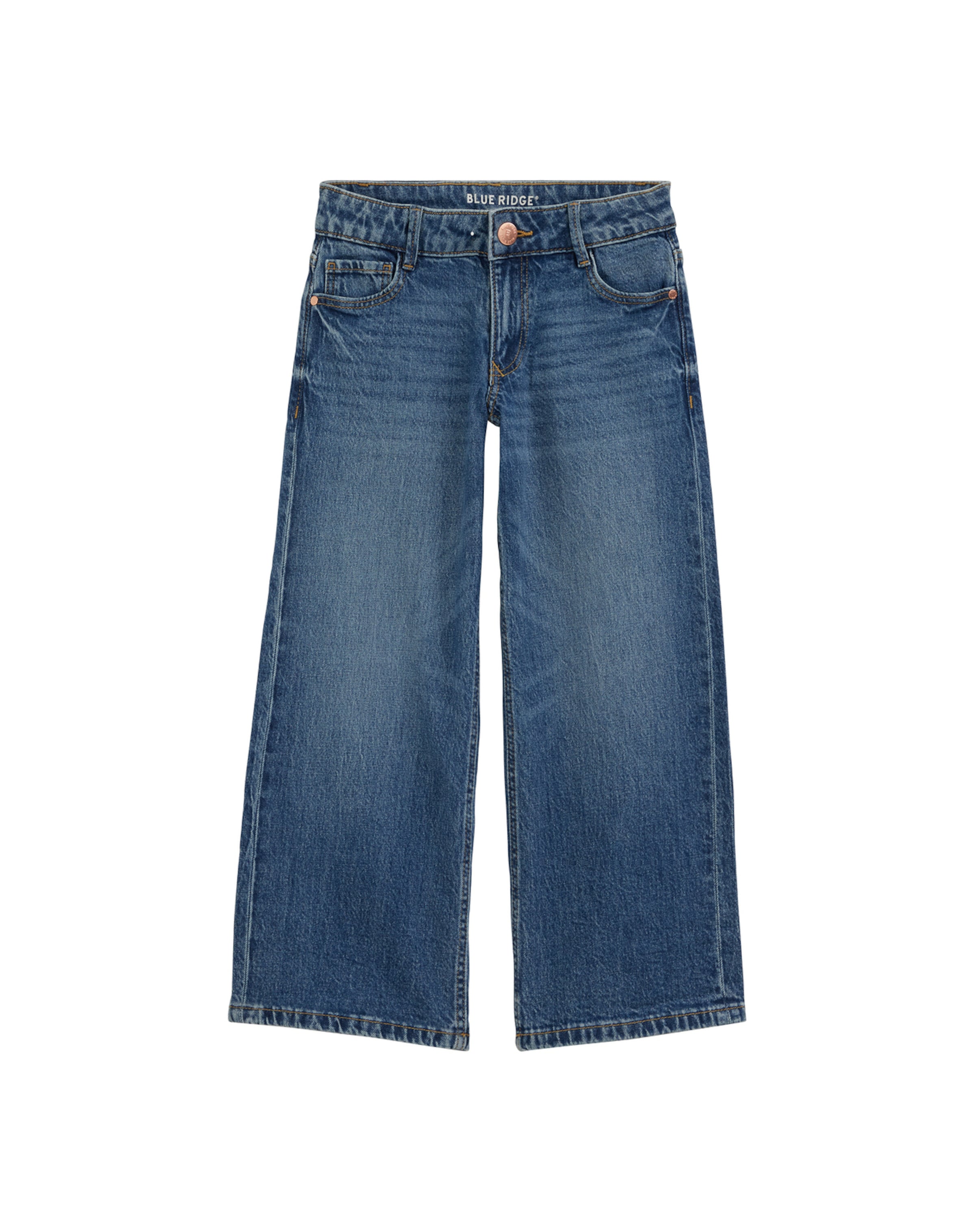 Wide Leg Jean WE Fashion en bleu : devant