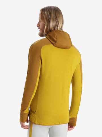 ICEBREAKER Sports sweatshirt 'Quantum ZoneKnit' in Brown