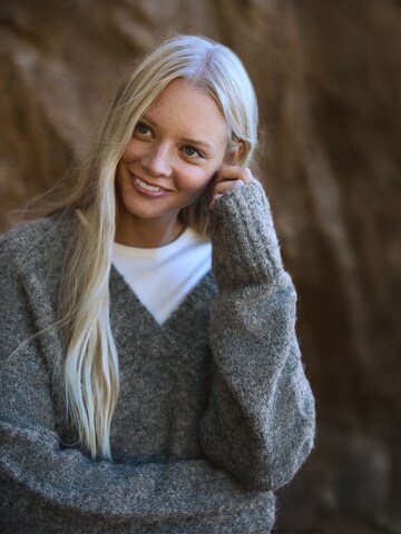 Bershka Trui in Grijs