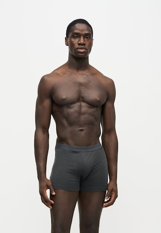 ABOUT YOU Boxer shorts 'Falk' in Grey