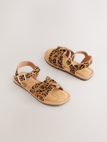 Sandales Next en marron