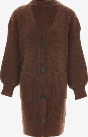 RISA Knit Cardigan in Brown: front