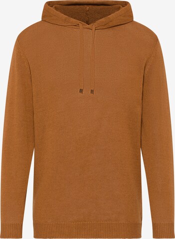 ETERNA Sweater in Brown: front