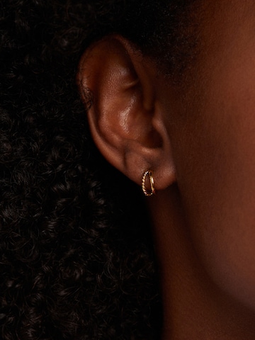 Lucardi Earrings in Gold: front