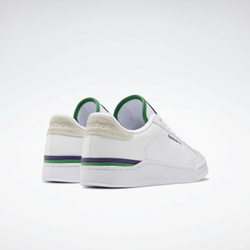 Baskets basses 'AD COURT' Reebok en blanc