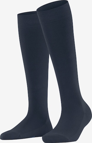 FALKE Knee High Socks 'Family' in Blue: front