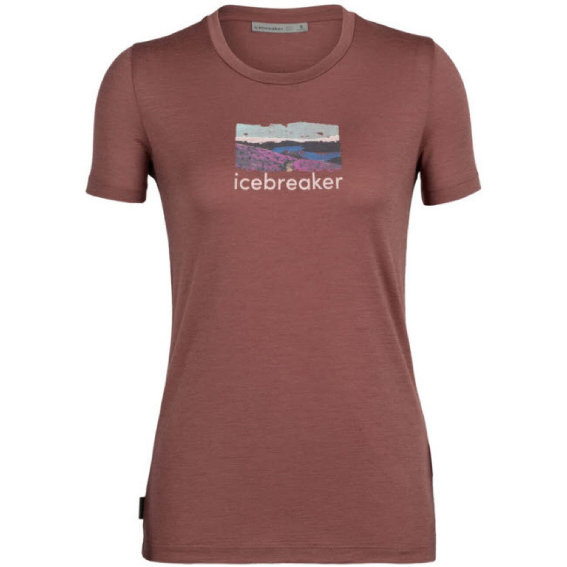 ICEBREAKER Performance Shirt 'Tech Lite III' in Brown: front
