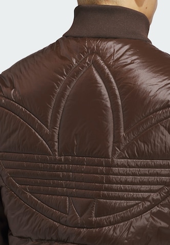 Veste outdoor ADIDAS PERFORMANCE en marron