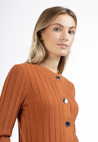 Cardigan DreiMaster Klassik en marron