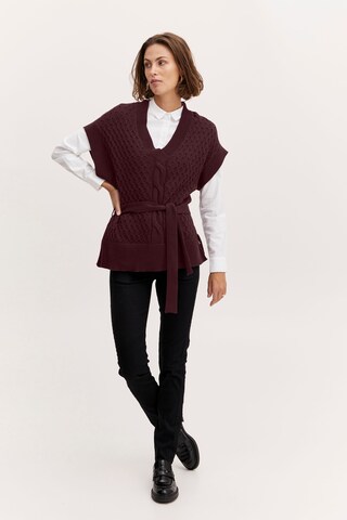 Fransa Sweater 'Frsusann' in Purple