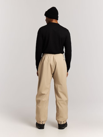 PROTEST Regular Sports trousers 'PRTLuton' in Brown