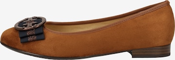 ARA Ballet Flats in Brown: front