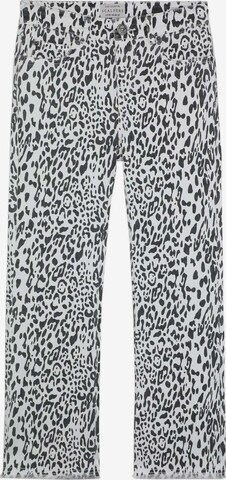 Scalpers Regular Jeans 'Leo' in Grau: predná strana