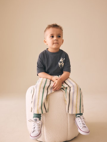 Next Wide leg Pants in Mixed colors