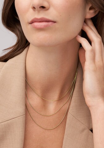 FOSSIL Necklace in Gold: front