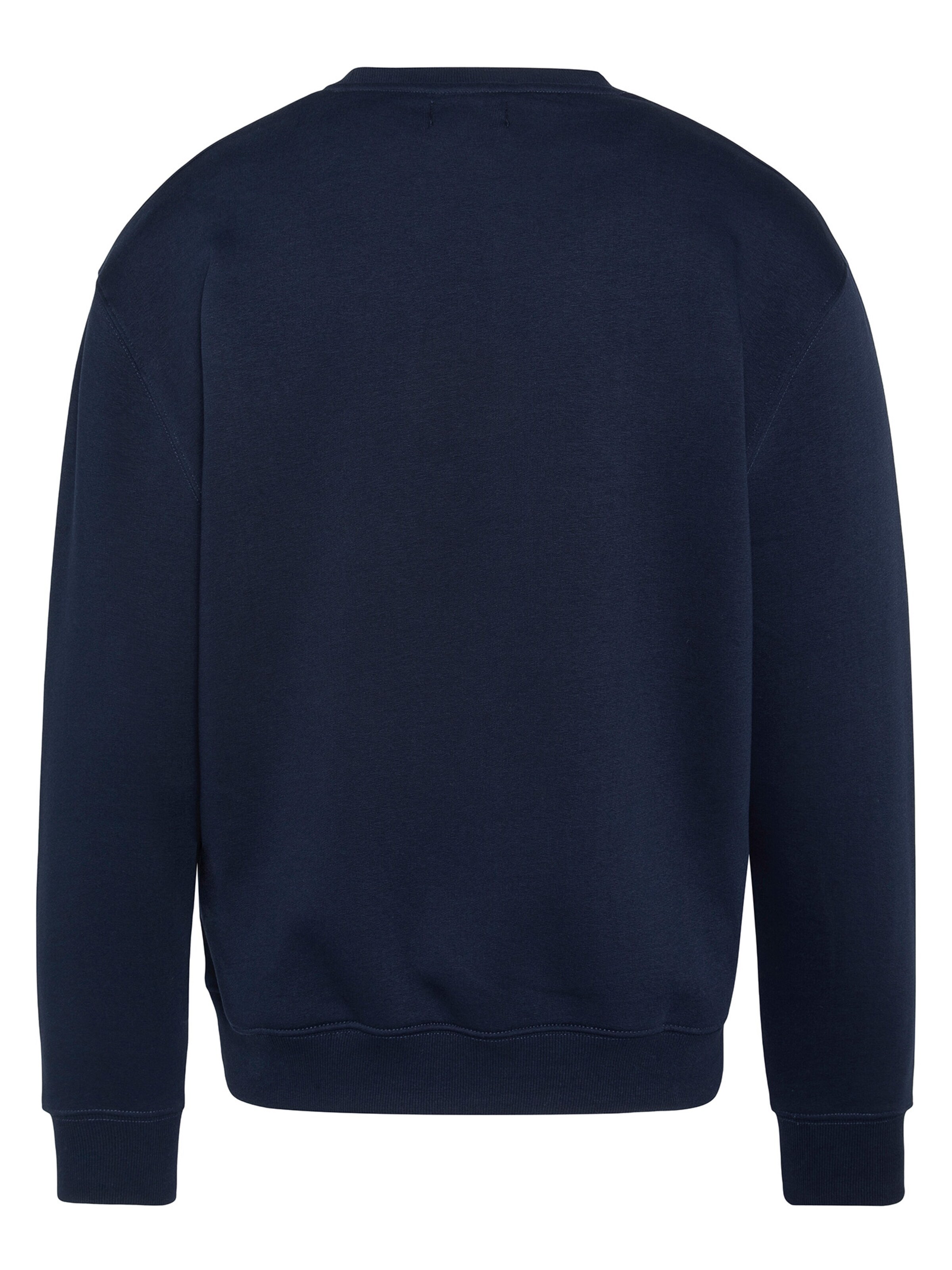 Schott NYC Sweatshirt in Blue