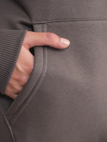 MixRay Sweatshirt 'Kapuzenpullover'‌‌‌‌‌‌‌ in Grau