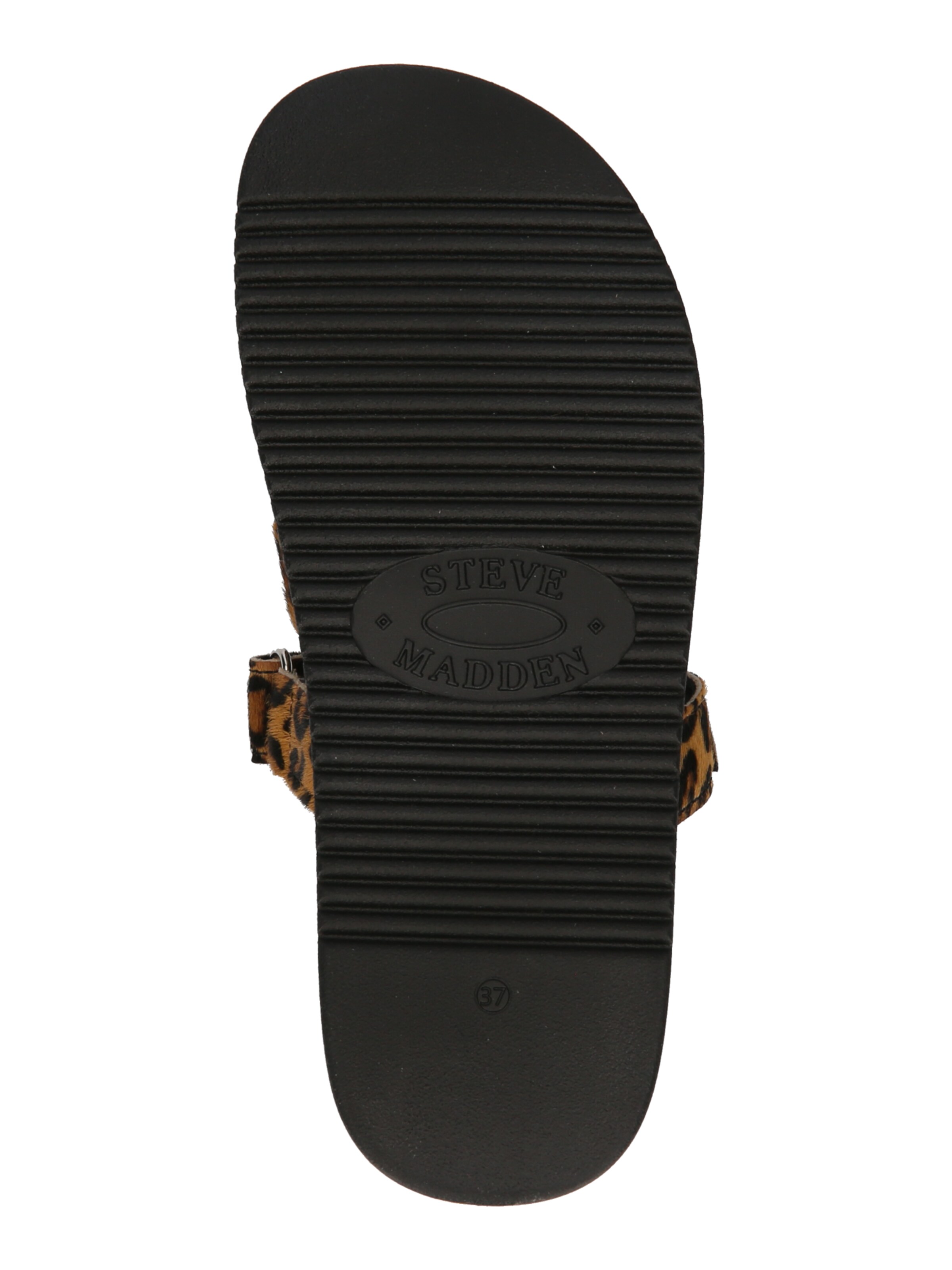 STEVE MADDEN Чехли 'Missile-L' в кафяво