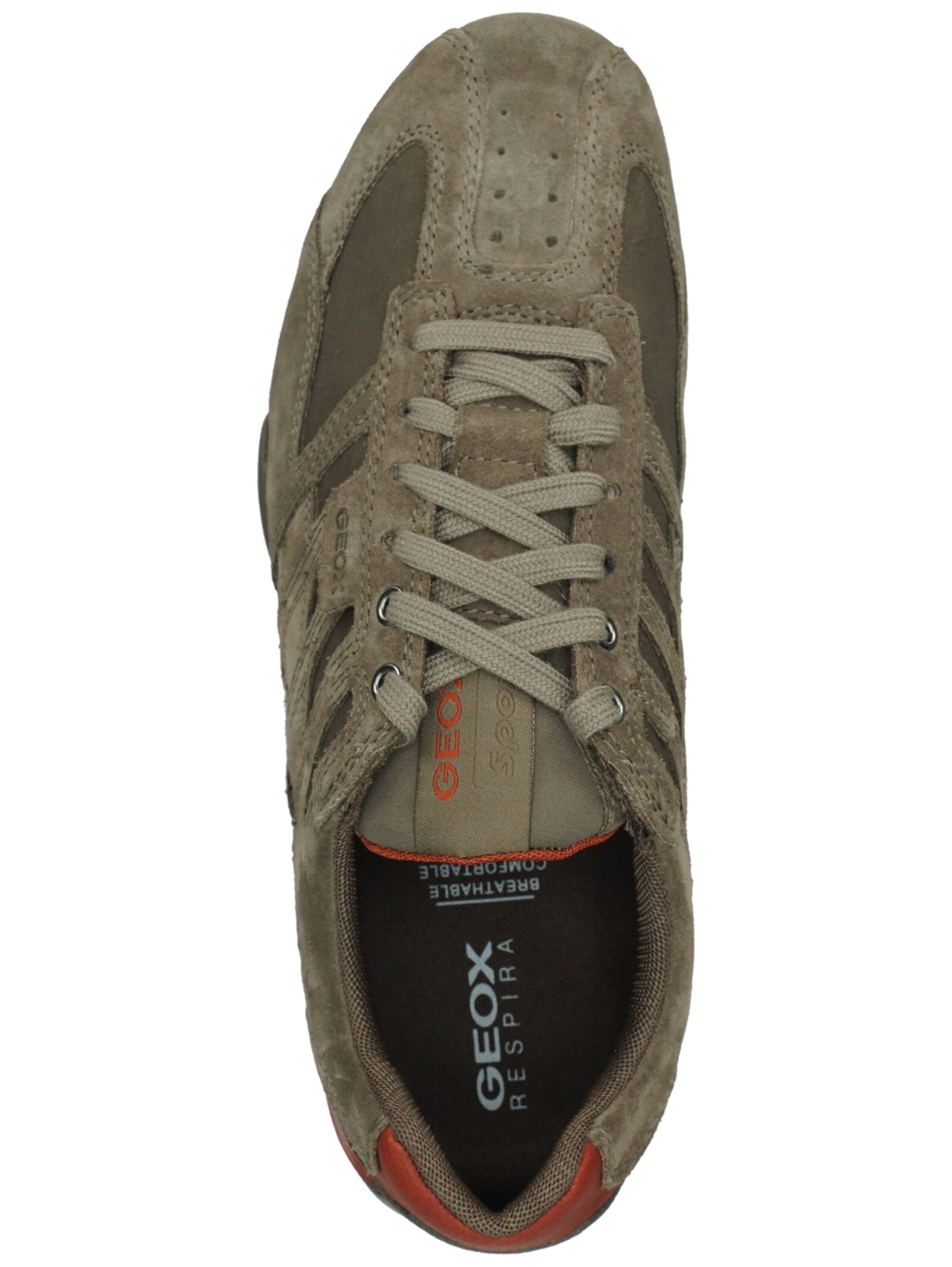 Sneaker bassa di GEOX in grigio