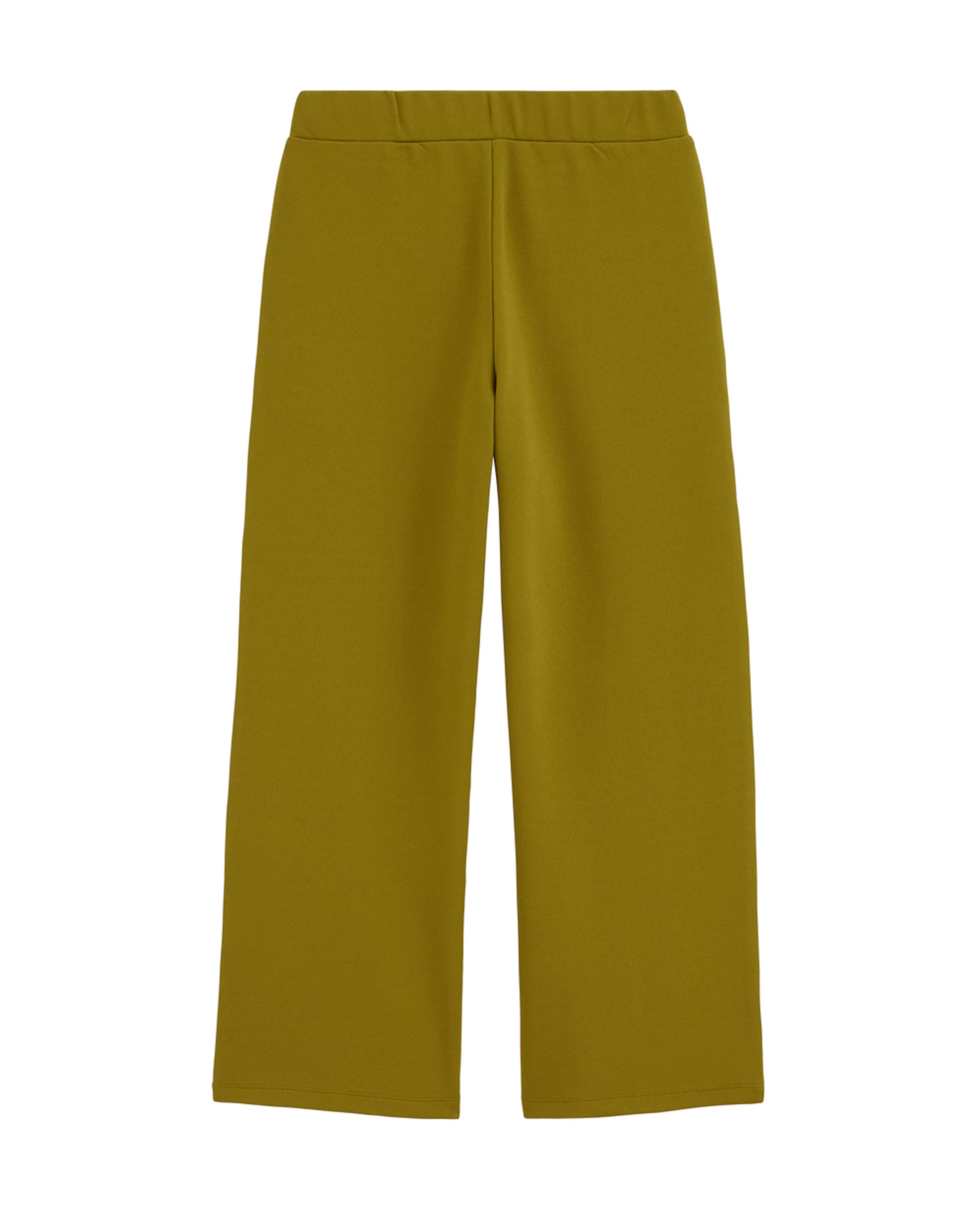 WE Fashion - regular Pantalón en verde