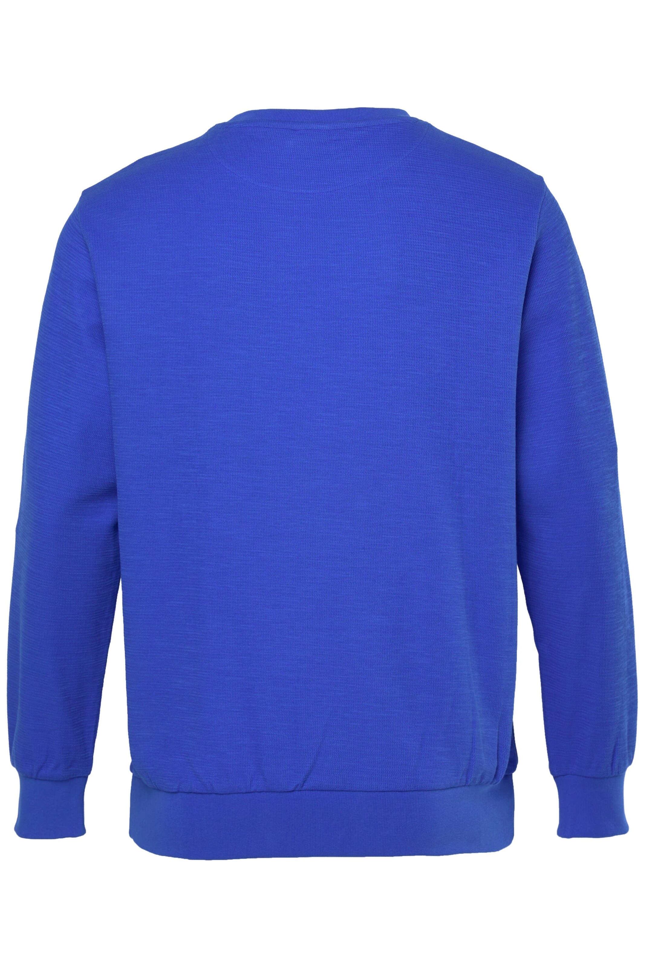 Men Plus Sweatshirt in Blauw