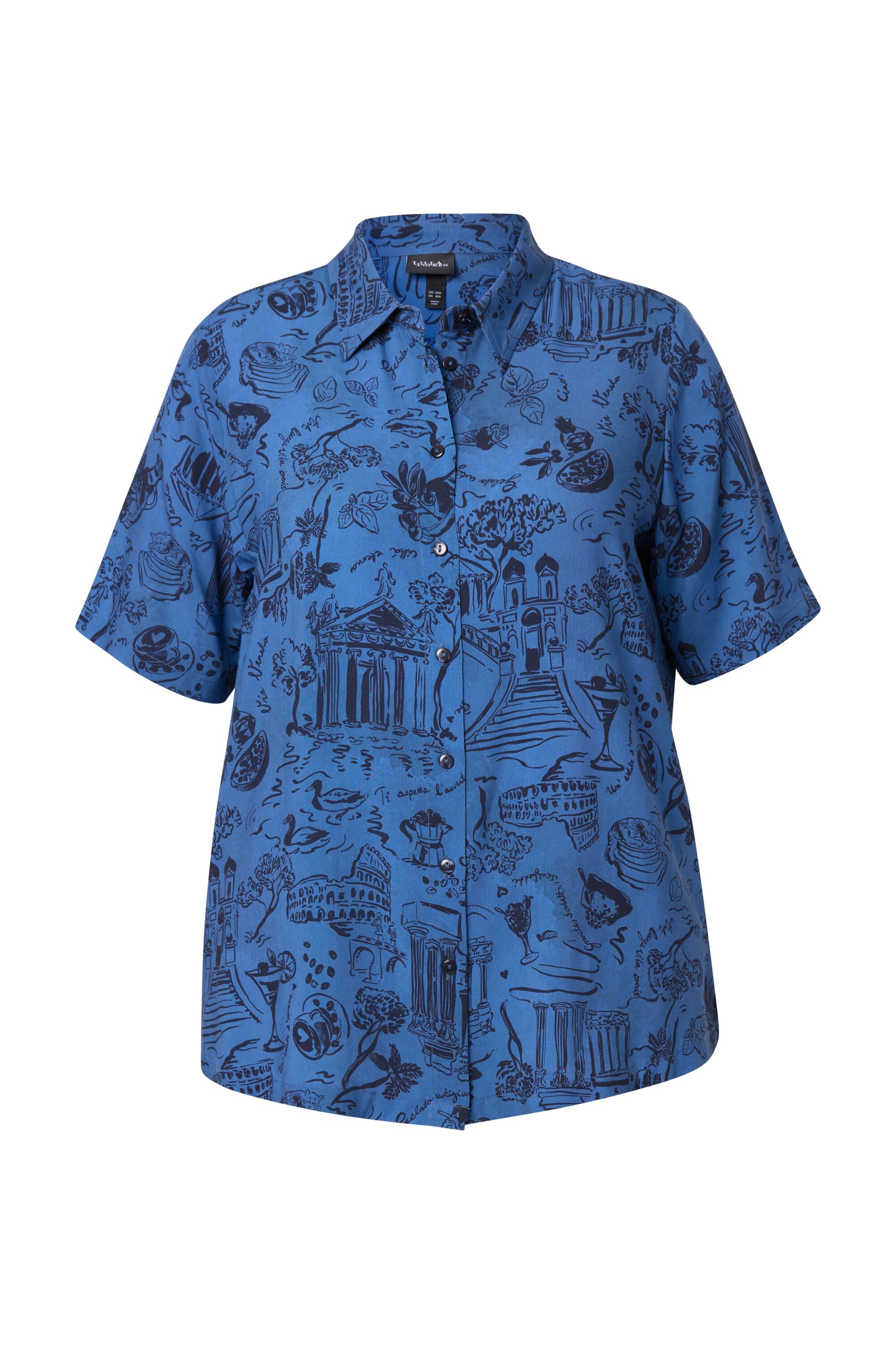 Ulla Popken Bluse in Blau: Vorderseite