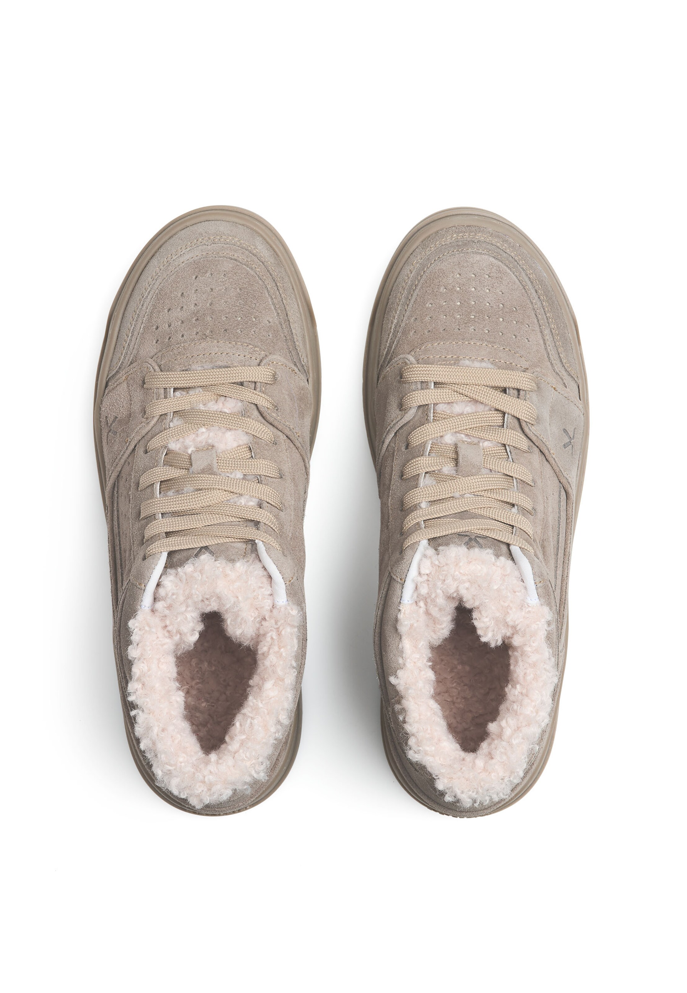 Baskets hautes 'Ever' LLOYD en beige