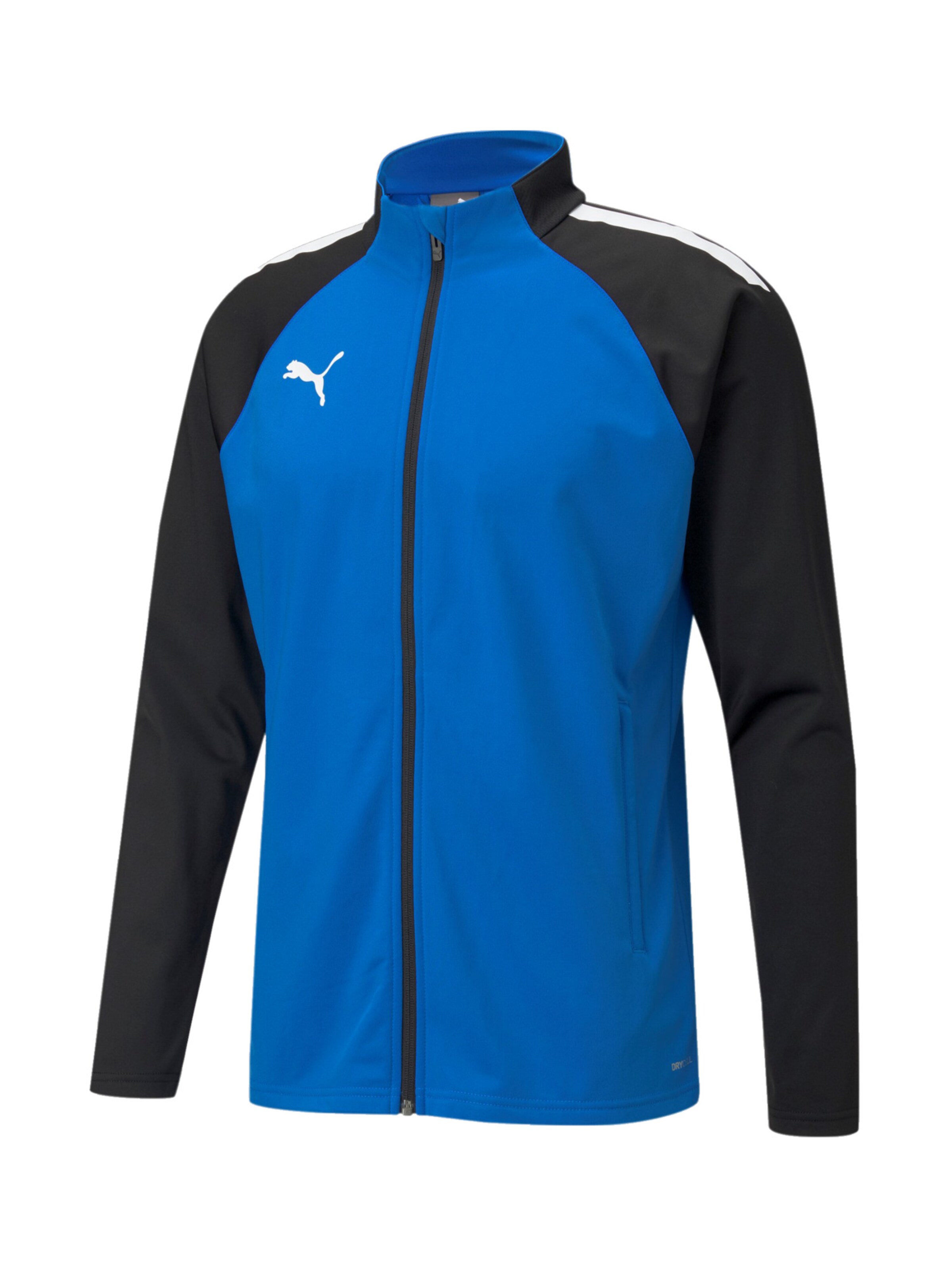 PUMA Sportjacke 'TeamLiga' in Blau: Vorderseite