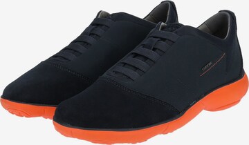 GEOX Sneaker in Blau