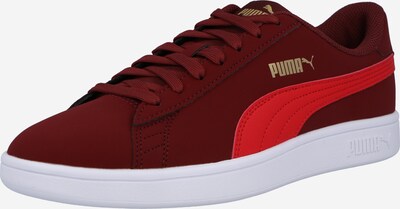 Sneaker bassa 'Smash v2 Buck' PUMA di colore bordeaux, Visualizzazione prodotti