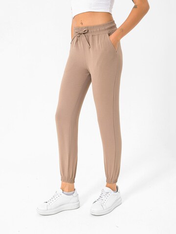 Dandalo Tapered Trousers in Mixed colours: front