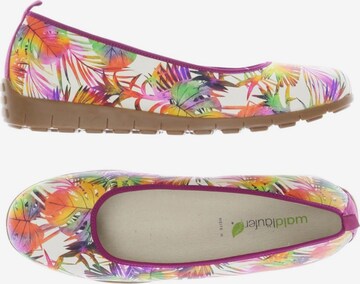 WALDLÄUFER Flats & Loafers in 39 in Mixed colors: front