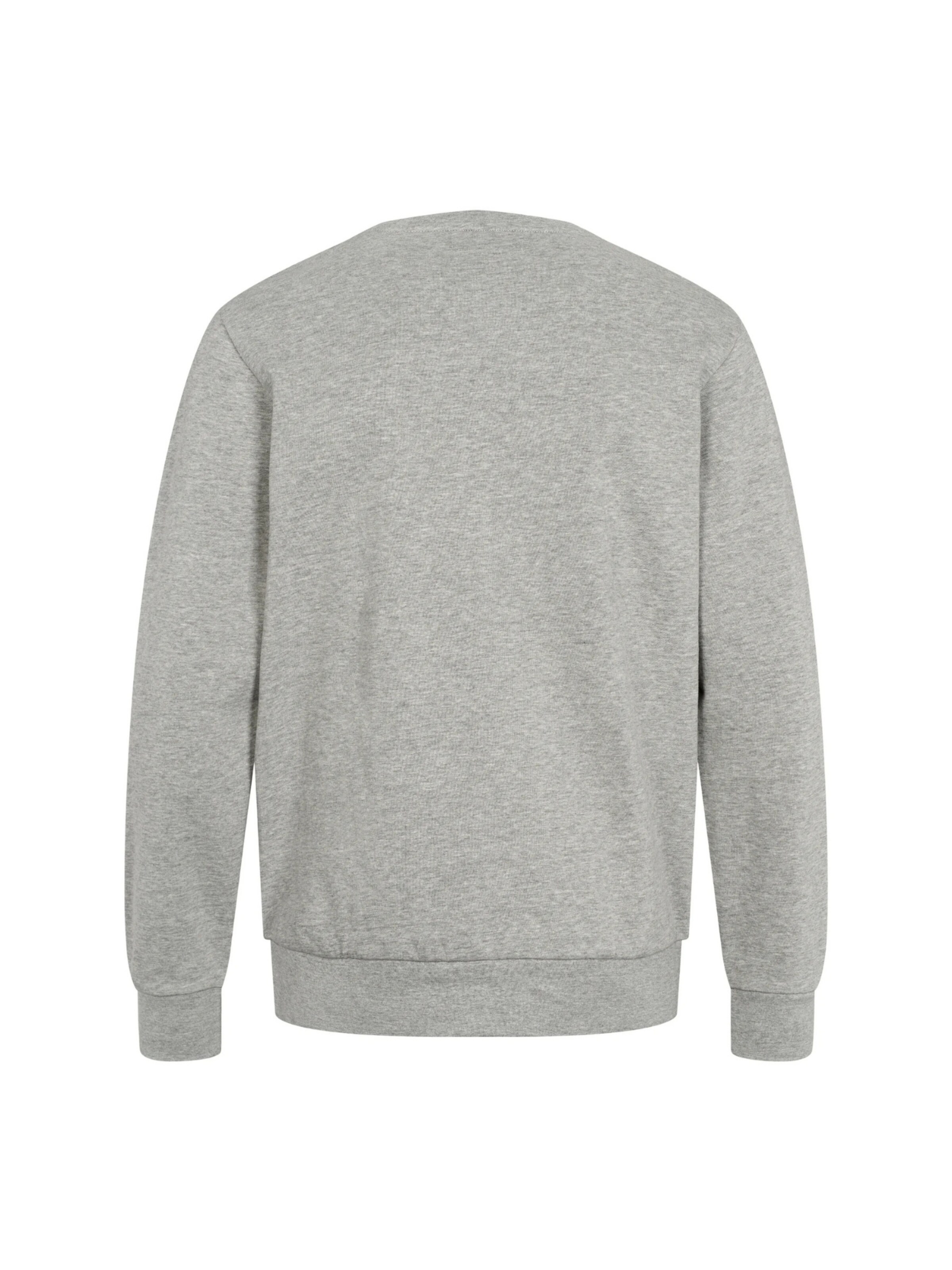 Sweat-shirt 'Hugo' U.S. POLO ASSN. en gris