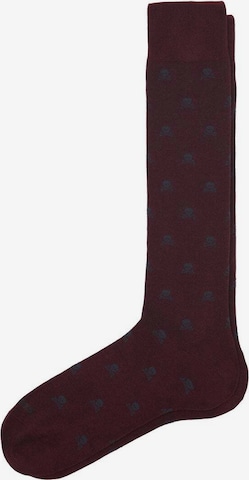 Scalpers Socken in Rot: predná strana