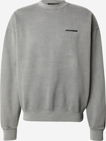 Sweat-shirt Pegador en gris : devant