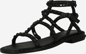 ASH Páskové sandály – černá: přední strana