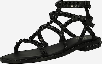 ASH Strap Sandals in Black: front