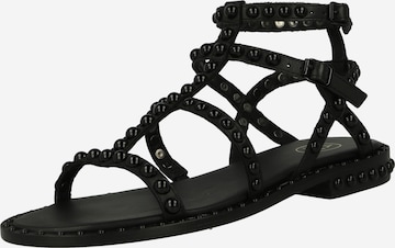 ASH Sandalen met riem in Zwart: voorkant