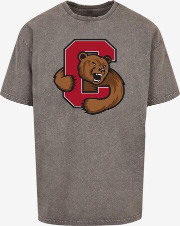 Merchcode T-Shirt 'Cornell University - Bear' in Grau: predná strana