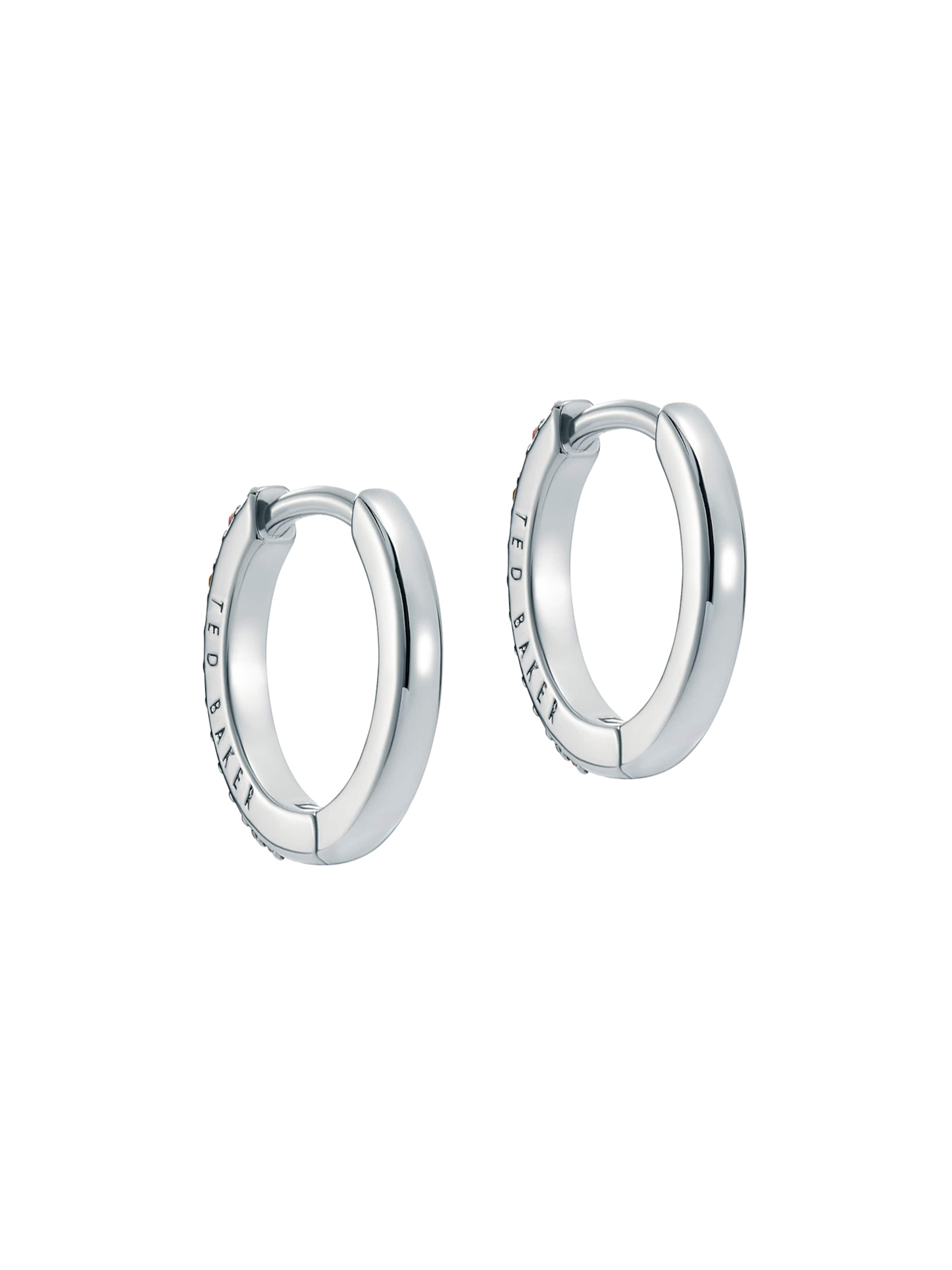 Ted Baker Kõrvarõngas, värv Hõbe