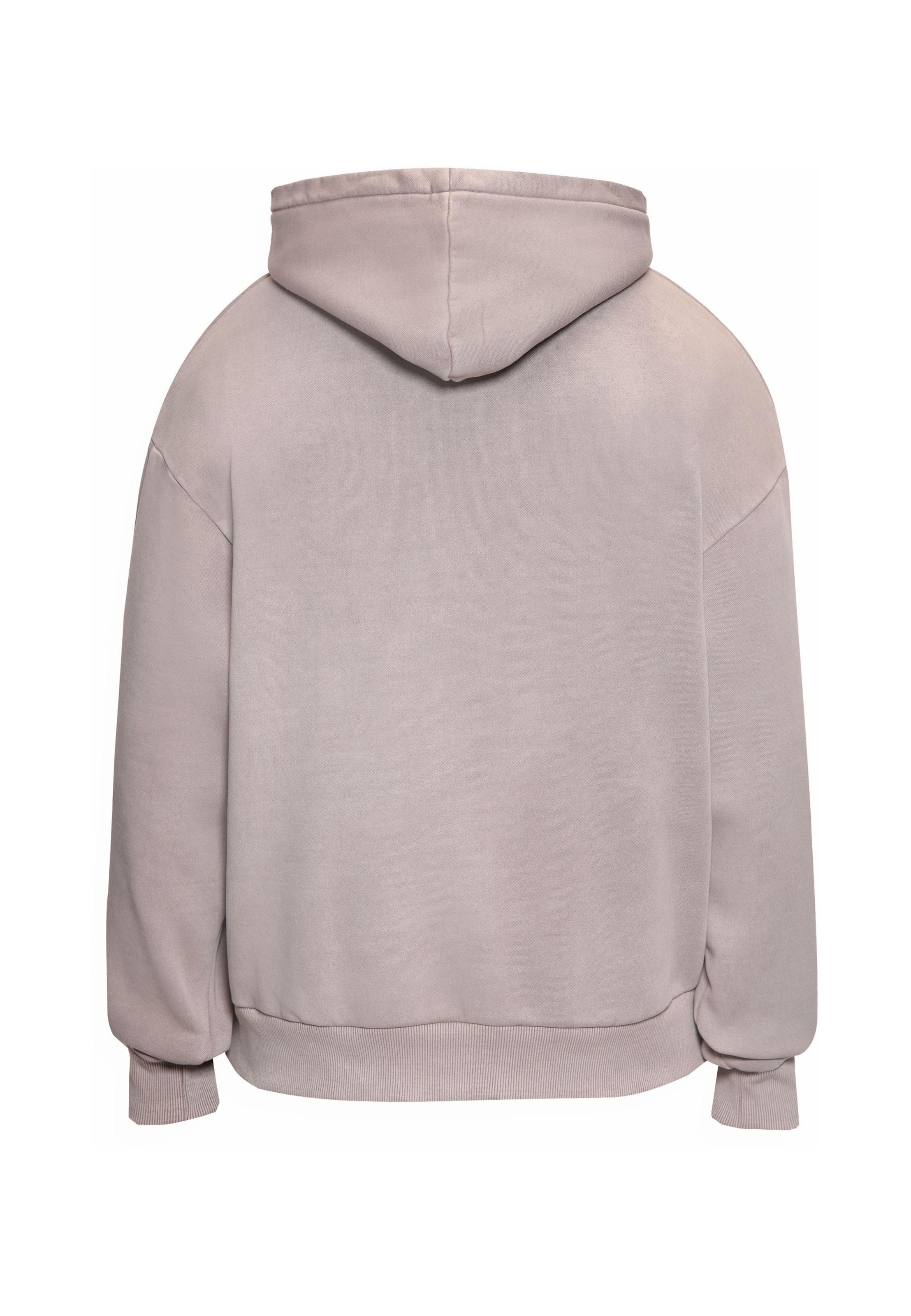 Dropsize - Sweatshirt em cinzento