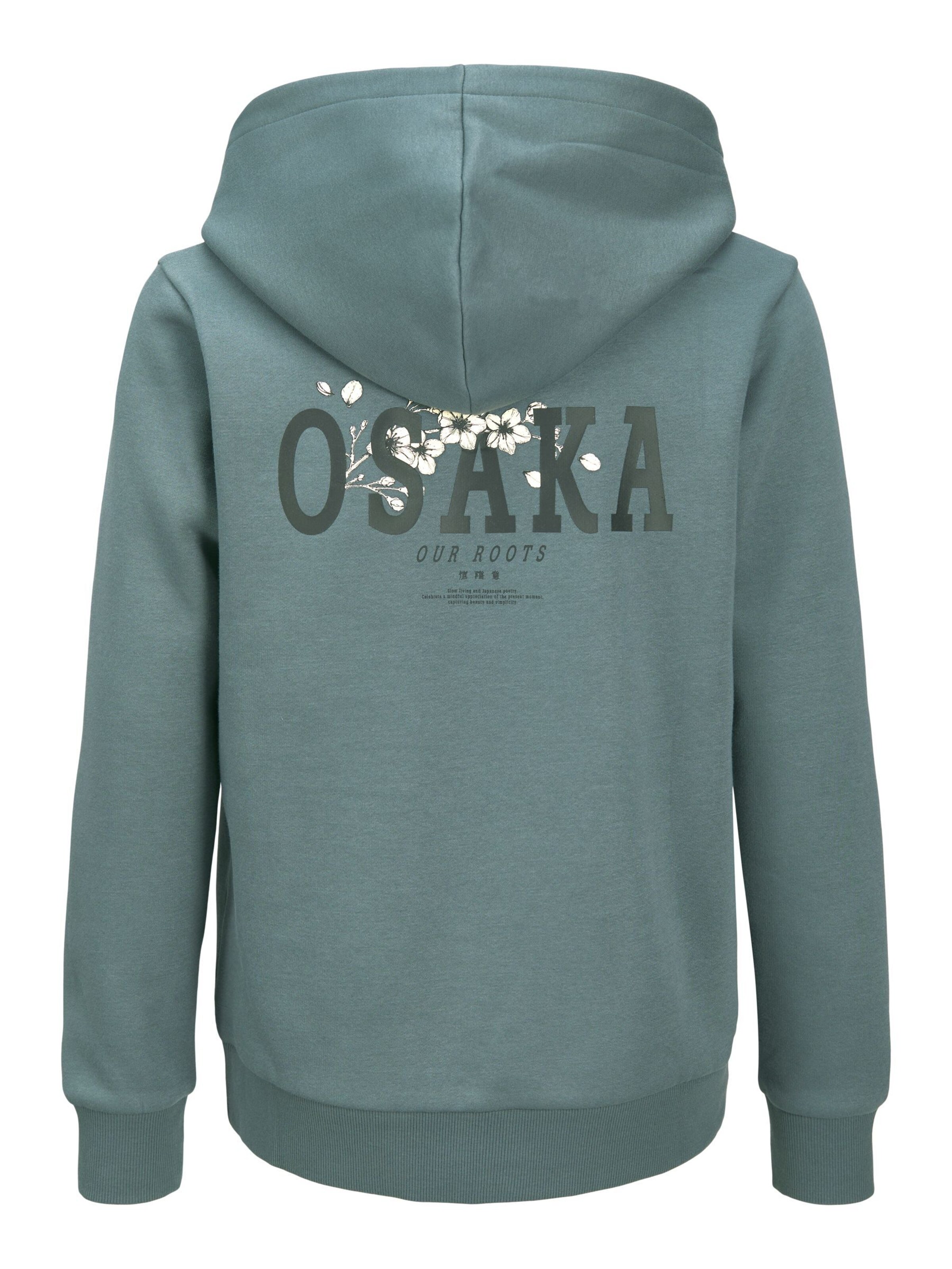 Jack & Jones Junior Sweatshirt in Grau