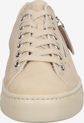 Paul Green Sneaker in Beige