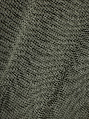 Funky Buddha Trui in Grijs